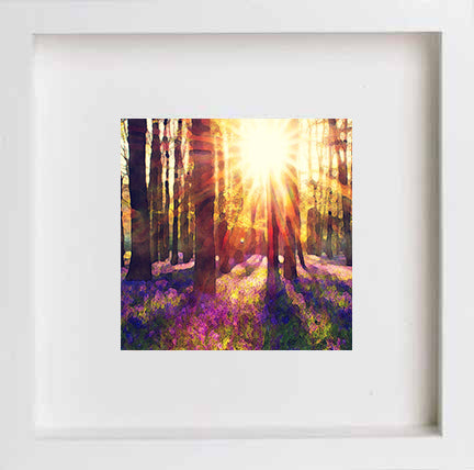 Floral Dusty Bluebells 0265 in White frame, premium wall art print