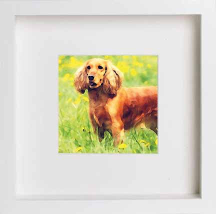 Pets Cocker Spaniel 0274 in White frame, premium wall art print