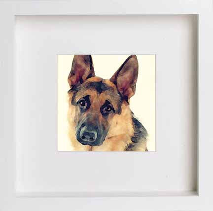 German Shepherd 0275 in White frame, premium wall art print
