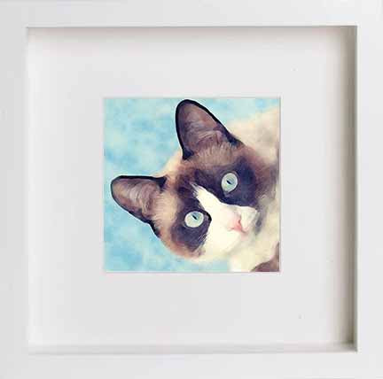Pets Siamese Cat 0280 in White frame, premium wall art print