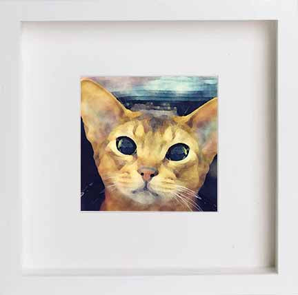 Pets Oriental Cat 0282 in White frame, premium wall art print