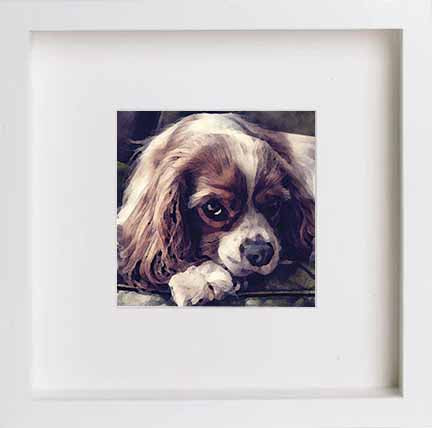 Pets Cute Dog 283 in White frame, premium wall art print
