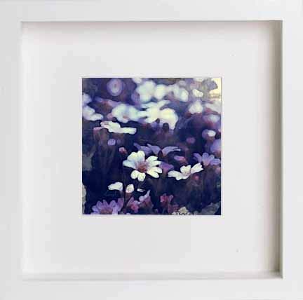 L Lumartos Vintage Garden Daisies