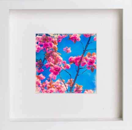 L Lumartos Vintage Cherry Blossom