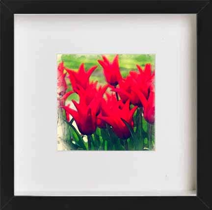 L Lumartos Vintage Floral Star Red