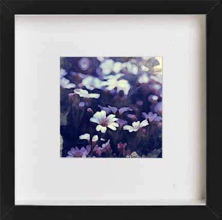 L Lumartos Vintage Garden Daisies