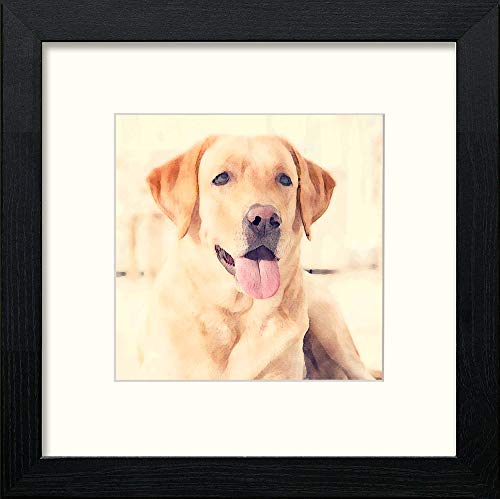 L Lumartos Labrador