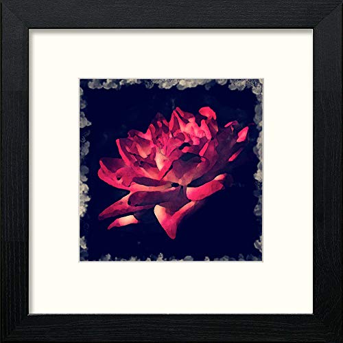 Scarlet Rose in Black Wood frame, premium wall art print