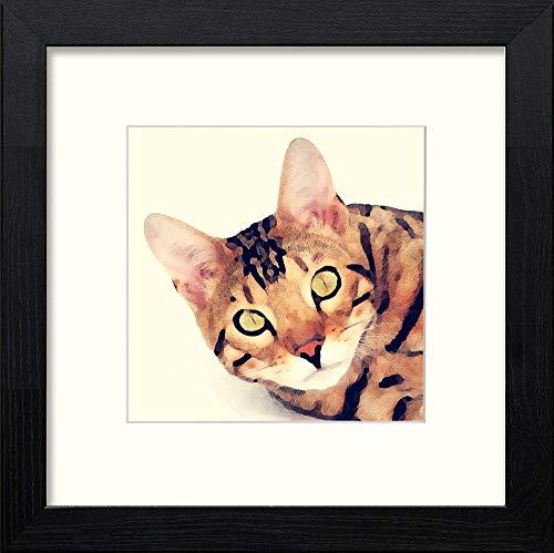 Bengal Cat in Black Wood frame, premium wall art print