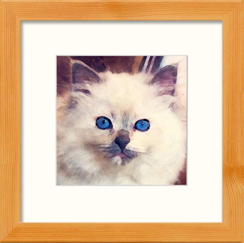 L Lumartos Ragdoll Cat