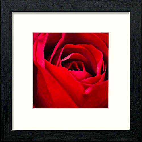 Vintage Red Red Rose in Black Wood frame, premium wall art print