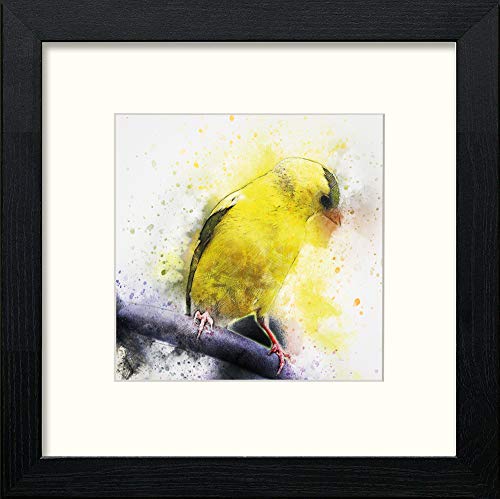 Canary in Black Wood frame, premium wall art print