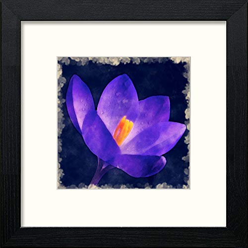 Purple Flower in Black Wood frame, premium wall art print