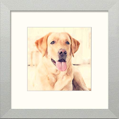 L Lumartos Labrador