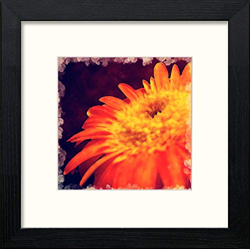 Orange Flower in Black Wood frame, premium wall art print