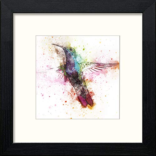 Kingfisher in Black Wood frame, premium wall art print
