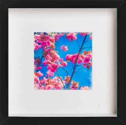 L Lumartos Vintage Cherry Blossom