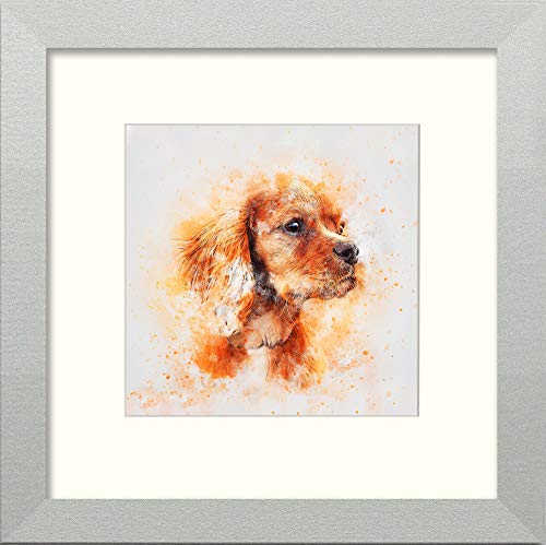 L Lumartos Spaniel