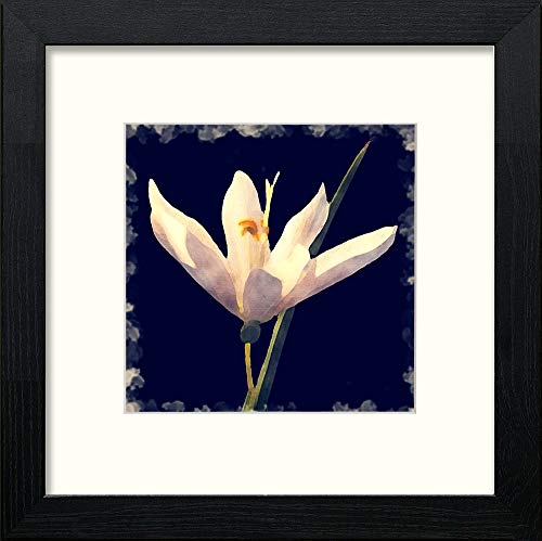 White Flower in Black Wood frame, premium wall art print