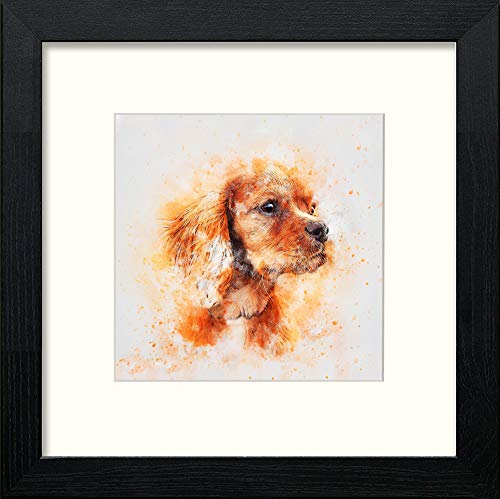 Spaniel in Black Wood frame, premium wall art print
