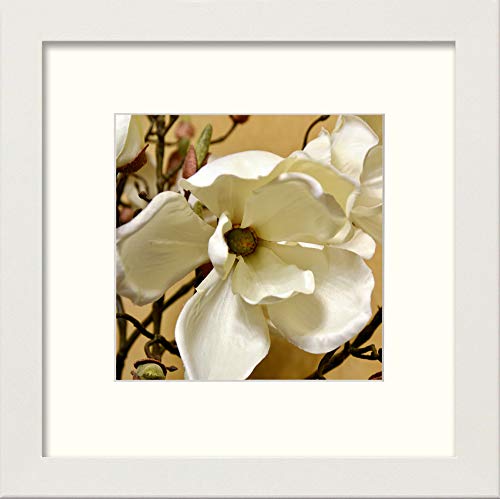 L Lumartos Orchids
