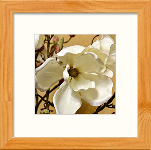 L Lumartos Orchids