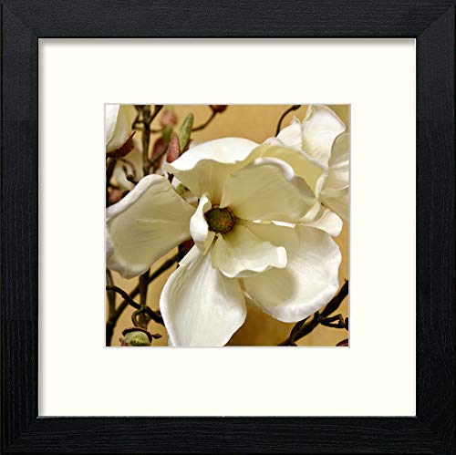 Orchids in Black Wood frame, premium wall art print