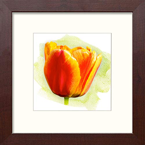 L Lumartos Tulip