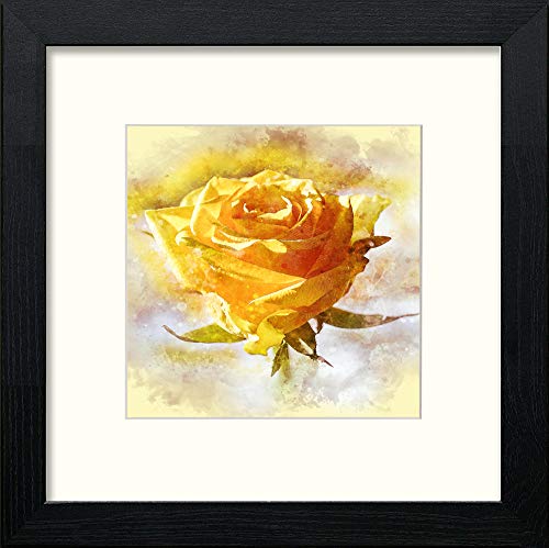 The Rose in Black Wood frame, premium wall art print