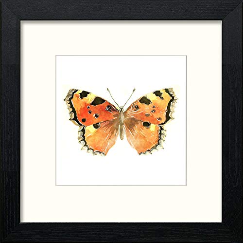 Papillon in Black Wood frame, premium wall art print