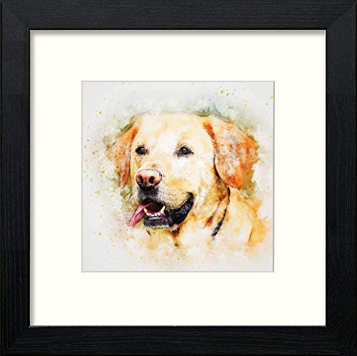 Golden Labrador in Black Wood frame, premium wall art print