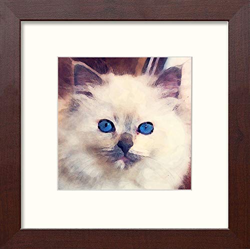 L Lumartos Ragdoll Cat