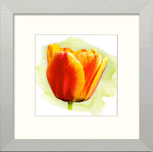 L Lumartos Tulip