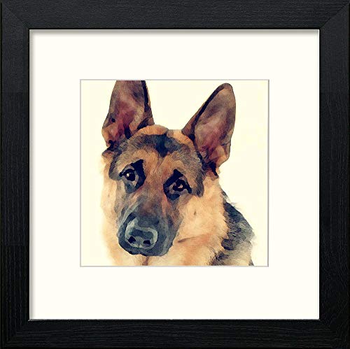 German Shepherd in Black Wood frame, premium wall art print