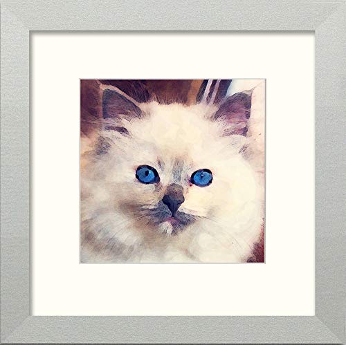 L Lumartos Ragdoll Cat