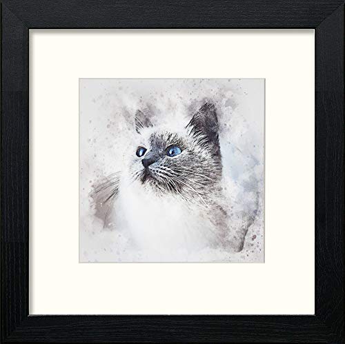 Siamese in Black Wood frame, premium wall art print