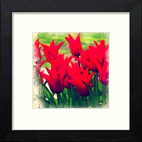 Vintage Floral Star Red in Black Wood frame, premium wall art print