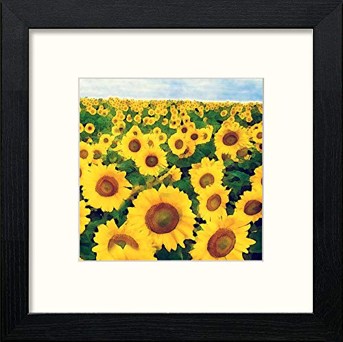 Dordoigne Sunflowers in Black Wood frame, premium wall art print
