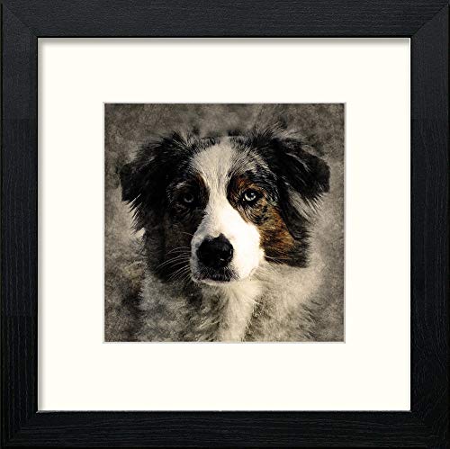 Shep in Black Wood frame, premium wall art print