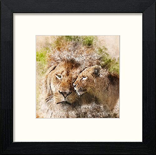 Lions in Black Wood frame, premium wall art print