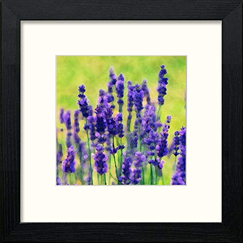 Prairie Flowers Lilac in Black Wood frame, premium wall art print