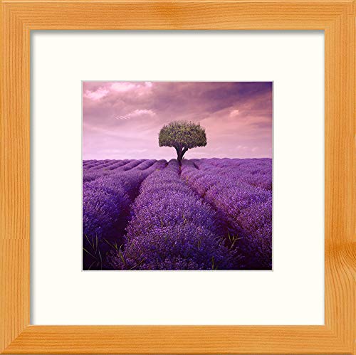 L Lumartos Lavendar Field