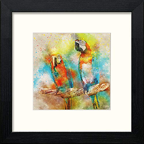 Macaw in Black Wood frame, premium wall art print