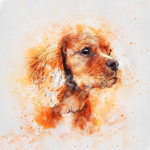 L Lumartos Spaniel