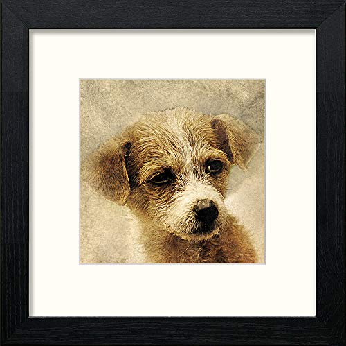 Small Dog in Black Wood frame, premium wall art print