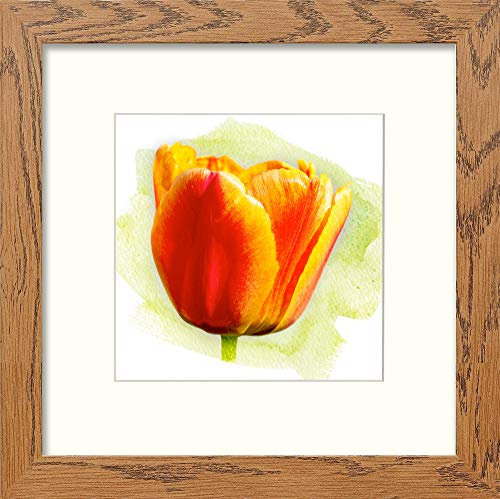 L Lumartos Tulip