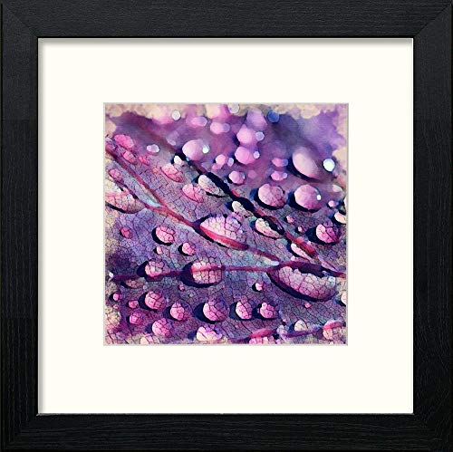 Leaf Droplets in Black Wood frame, premium wall art print