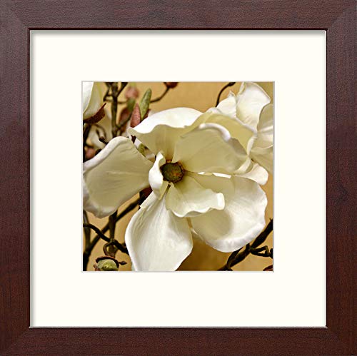 L Lumartos Orchids