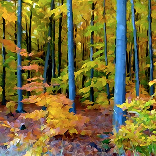L Lumartos Woods