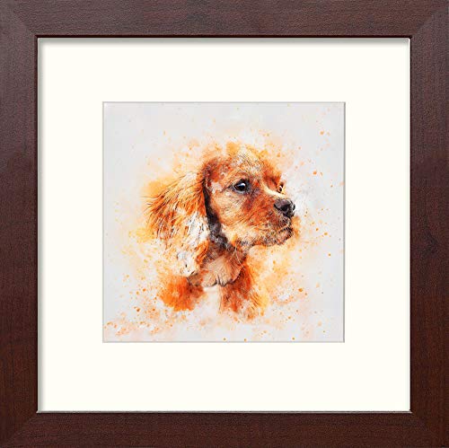 L Lumartos Spaniel